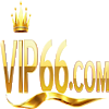 vip66training