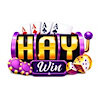 haywinuscom