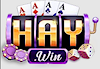 haywininnet
