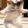 lilmoomafia