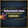 soilode247com