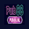 pub88nl
