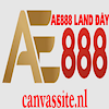 ae888canvassite