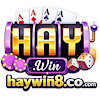 haywin8cocom