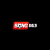 bongdalusolar1