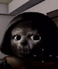 DgenUser