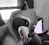 ZanderTheRaccoon