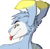 nodragon2