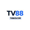 tv88cncom1