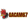 gacam67snet