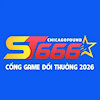 chicagofoundcom