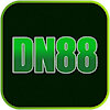 dn88art