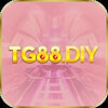 tg88diy1
