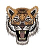 UnimpressedTiger