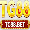 tg88inc