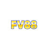 Fv88tech