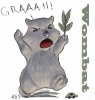 WombatCakes