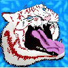 samuraitiger