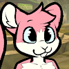 Kamoto