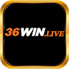 36winlive
