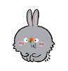 pyoyie