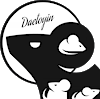 Daetoyin