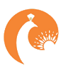 phunutinhthuc