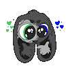 JoeyBunny