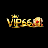 vip66vnnet