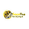 Socolivetructiep2