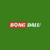 bongdaluguruu