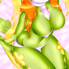 SilvFlora97