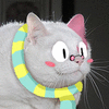 nargleflex