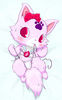 Minachacha