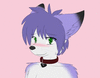 SuperHappyFlynnFox