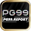 pg99report1