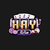 shaywincom