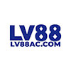 lv8800com