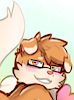 TTFox
