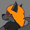 Dashywolf666