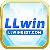 llwinbestcom