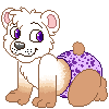 SnowtheBear