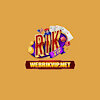 Webrikvipnet