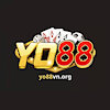 yo88vnorg1