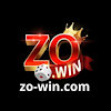 zowincom2