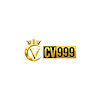 kingcv999com1