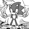 sonicmoe