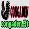 congadenfit