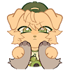 LynxBite