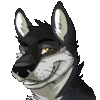 quentinwolf